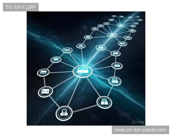 体育媒体生态正从孤立的传播节点进化为互联互通的数字化服务网络