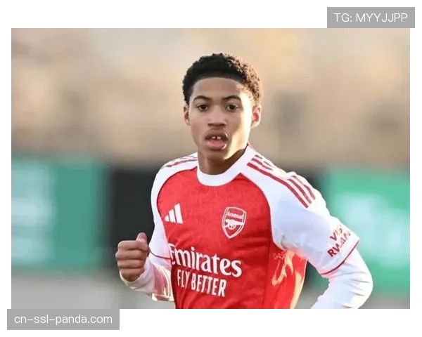 切尔西多特蒙德仍紧盯阿森纳年轻中场恩瓦内里